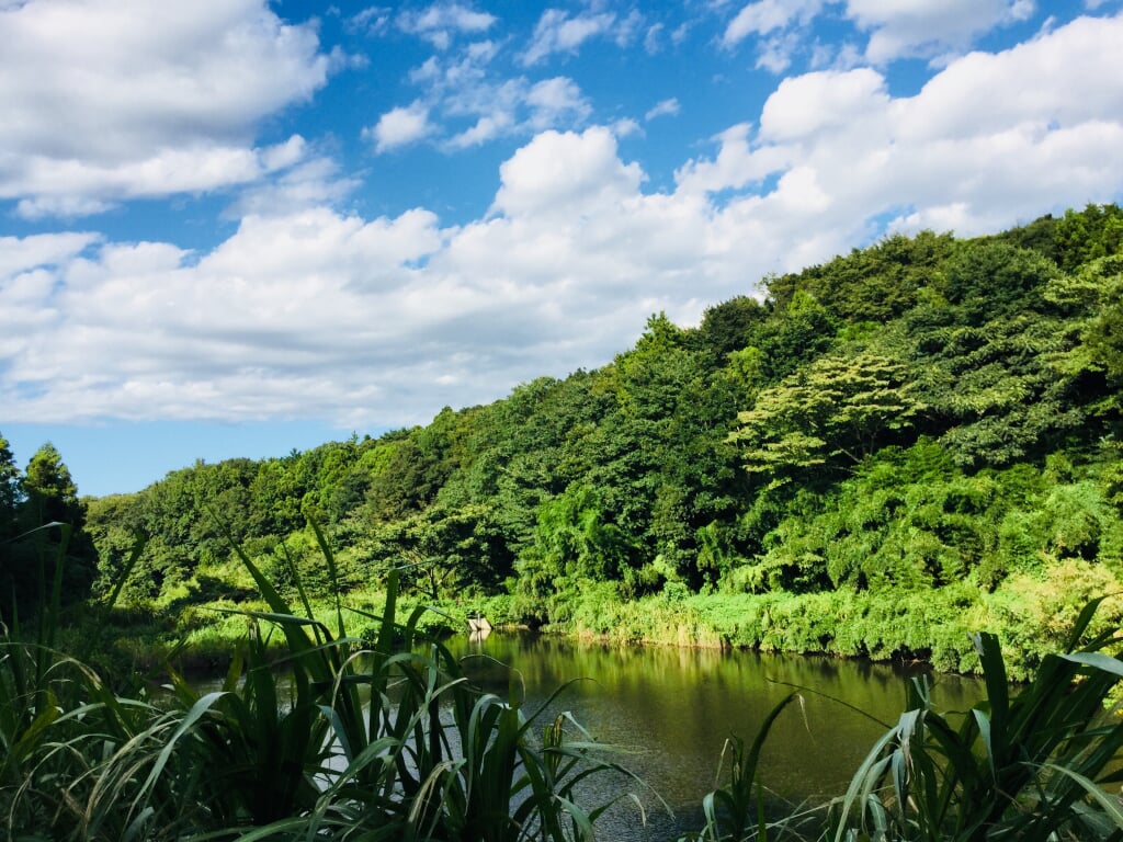 茅ケ崎里山公園の写真 ©五虎将軍(CC BY-SA 4.0)