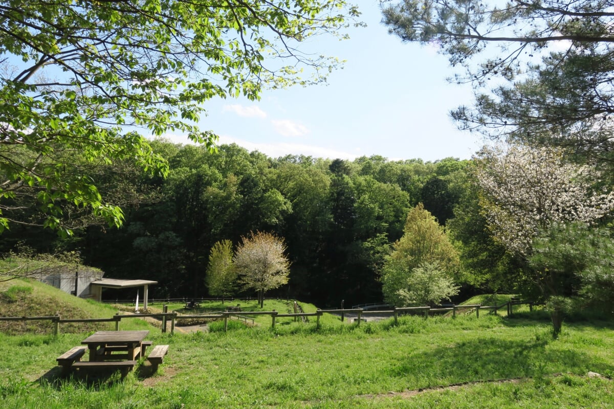 都立野山北・六道山公園の写真 