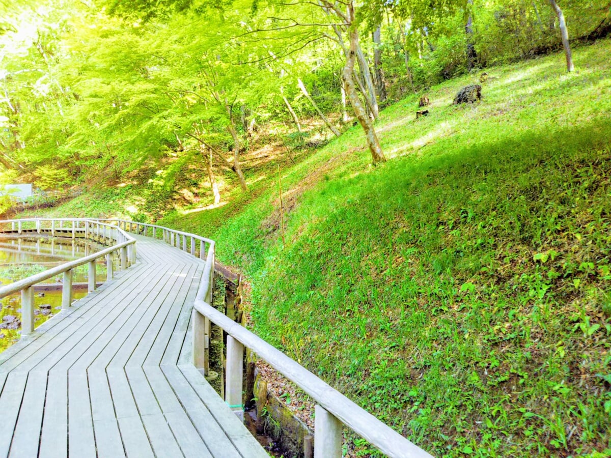 都立野山北・六道山公園の写真 