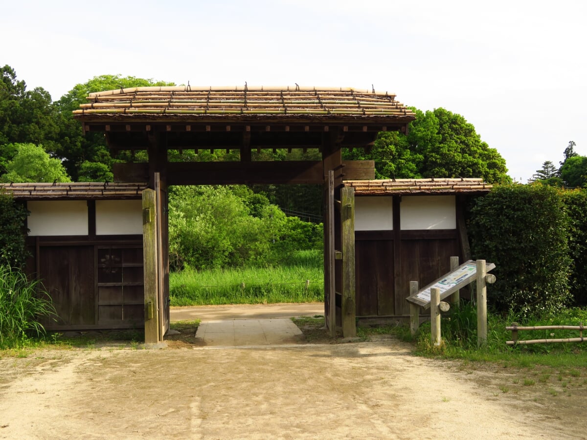都立野山北・六道山公園の写真 