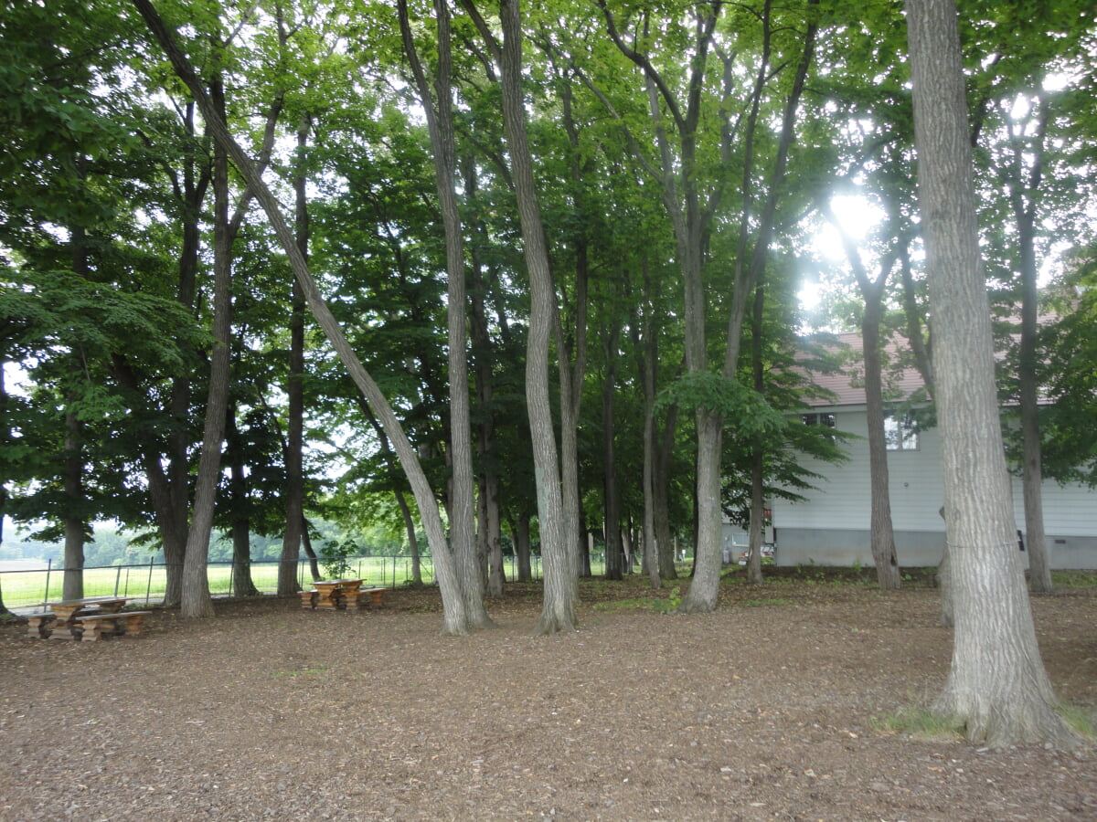 さっぽろ羊ヶ丘展望台の写真 ©kanesue(CC BY 3.0)