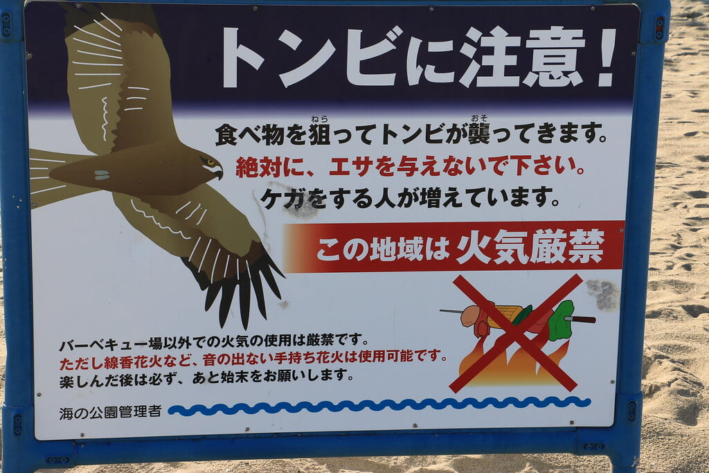 海の公園 潮干狩り場の写真 ©fumihirokato(CC BY 2.0)