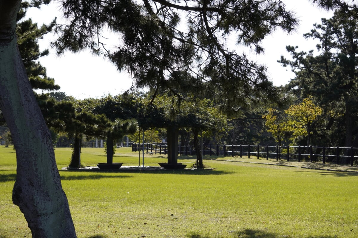 千葉県立富津公園・ジャンボプールの写真 