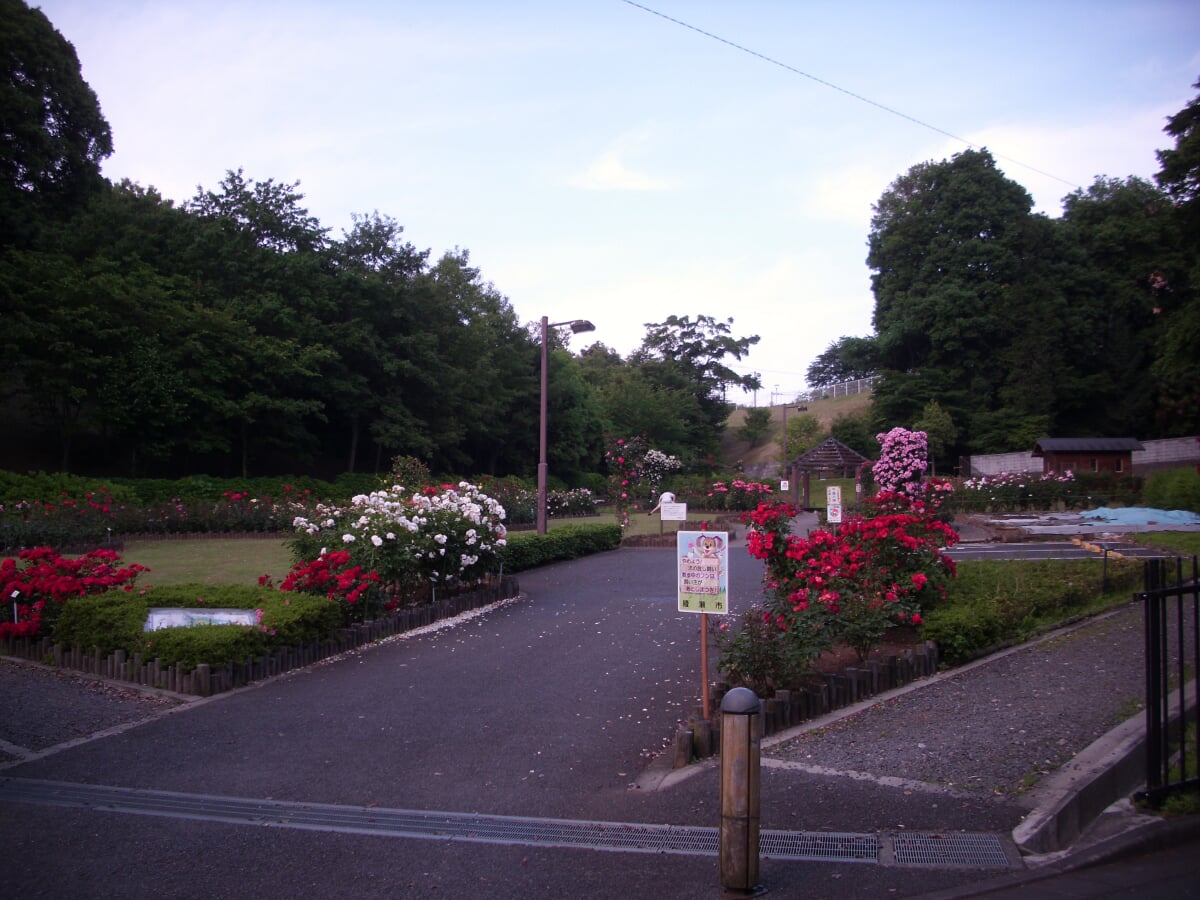 綾瀬市 城山公園の写真 ©hideki higano(CC BY-SA 3.0)