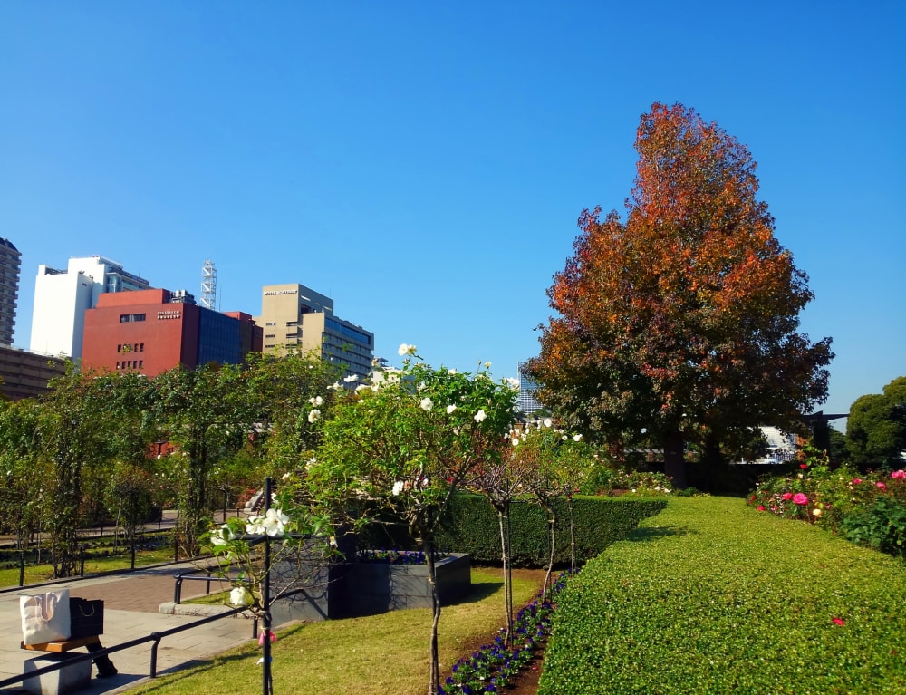 山下公園の写真 