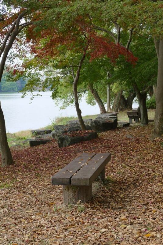山田池公園の写真 ©kennejima(CC BY 2.0)