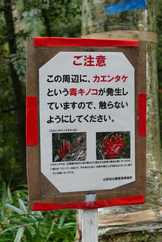 山田池公園の写真 ©kennejima(CC BY 2.0)