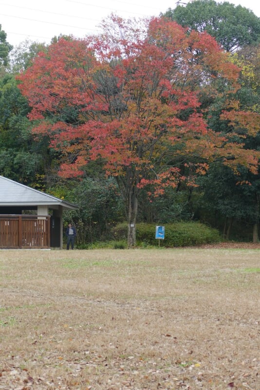 山田池公園の写真 ©kennejima(CC BY 2.0)