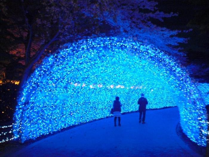 なばなの里の写真 