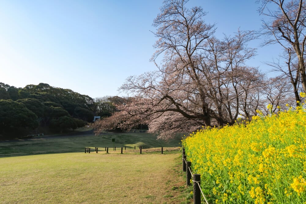 根岸森林公園の写真 