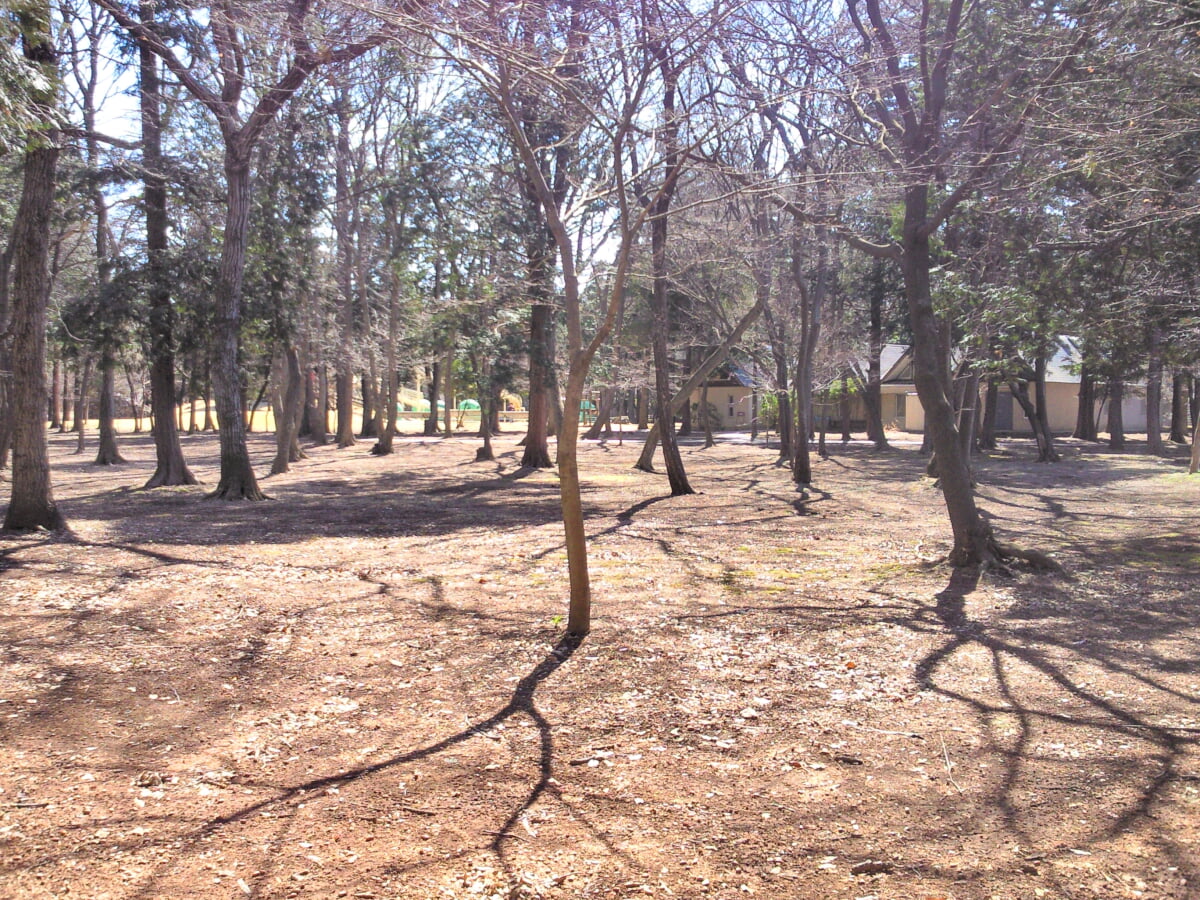 ネーブルパーク ポニー牧場の写真 ©tobu_11480_kei(CC BY 3.0)