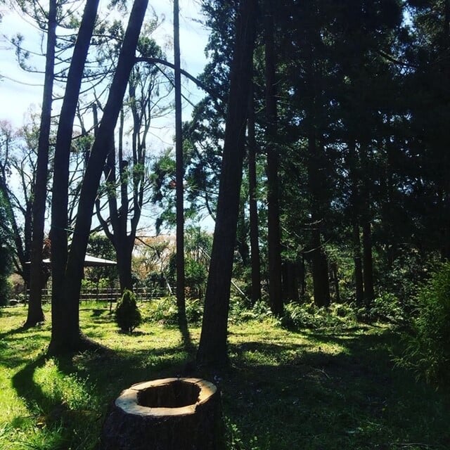 京都府立植物園の写真 ©海メル(CC BY-SA 4.0)