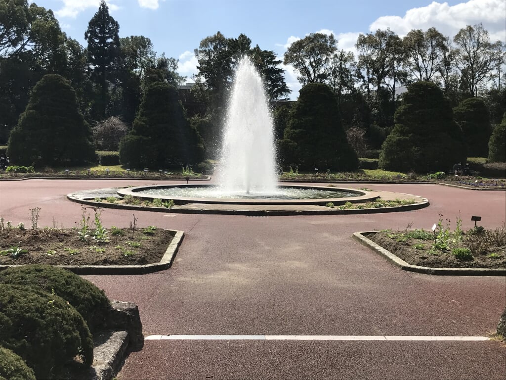 京都府立植物園の写真 ©日本雪氷学会(CC BY-SA 4.0)