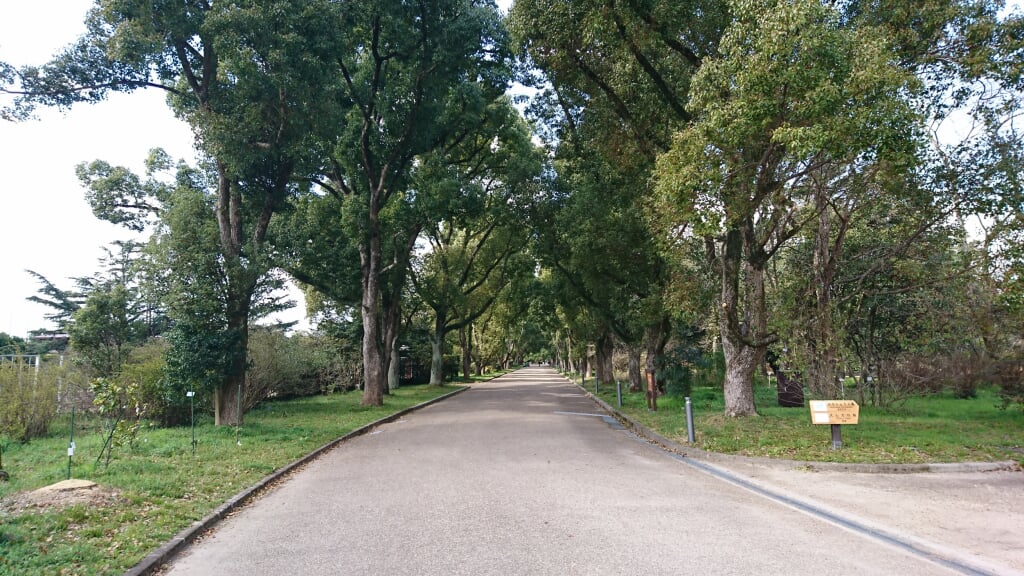 京都府立植物園の写真 ©NoharaR(CC BY-SA 4.0)