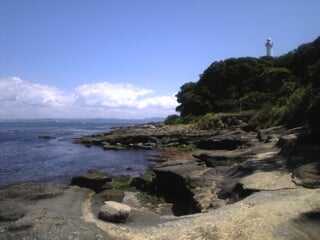 観音崎公園の写真 出典:神奈川県/神奈川県オープンデータ(CC BY 4.0)