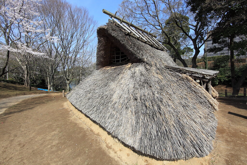 袖ケ浦公園の写真 ©TANAKA Juuyoh (田中十洋)(CC BY 2.0)
