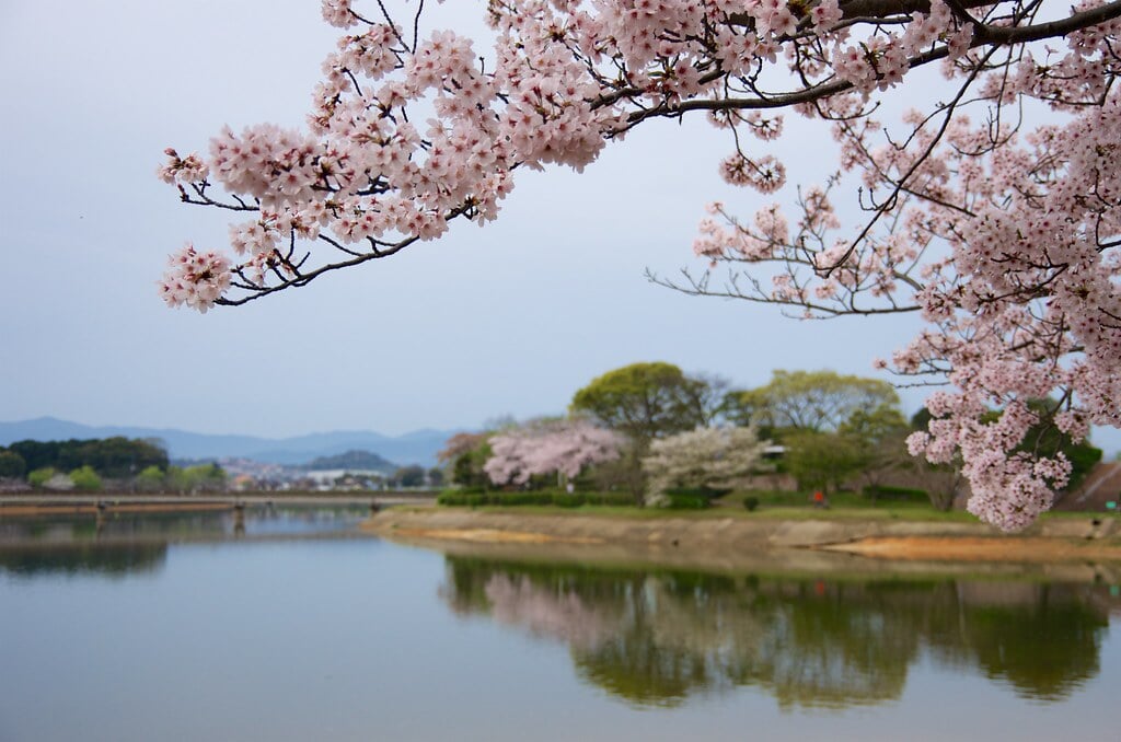 駕与丁公園の写真 ©yuki5287(CC BY 2.0)