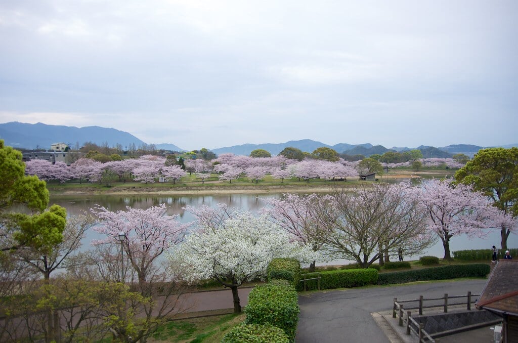 駕与丁公園の写真 ©yuki5287(CC BY 2.0)