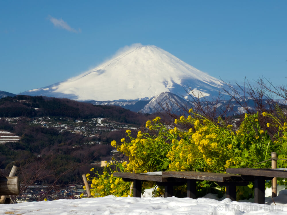 吾妻山公園の写真 ©Hiroaki Kaneko(CC BY-SA 3.0)