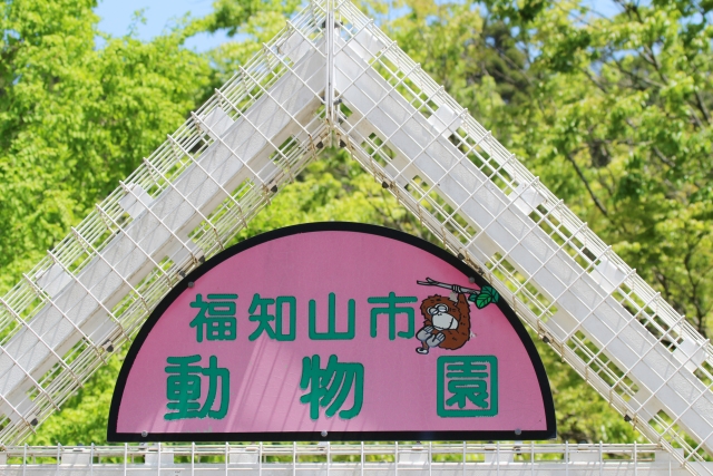 福知山市動物園の写真 