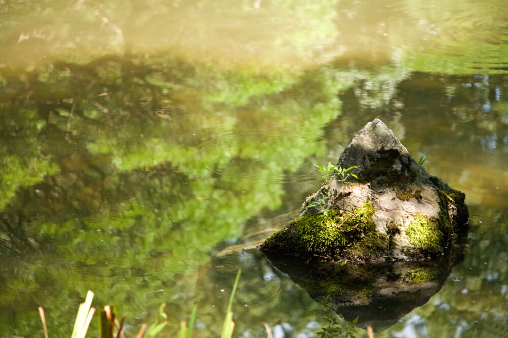 平安神宮の写真 ©Chi King(CC BY 2.0)