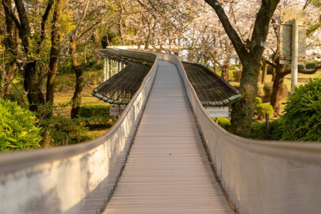 城山公園の写真 