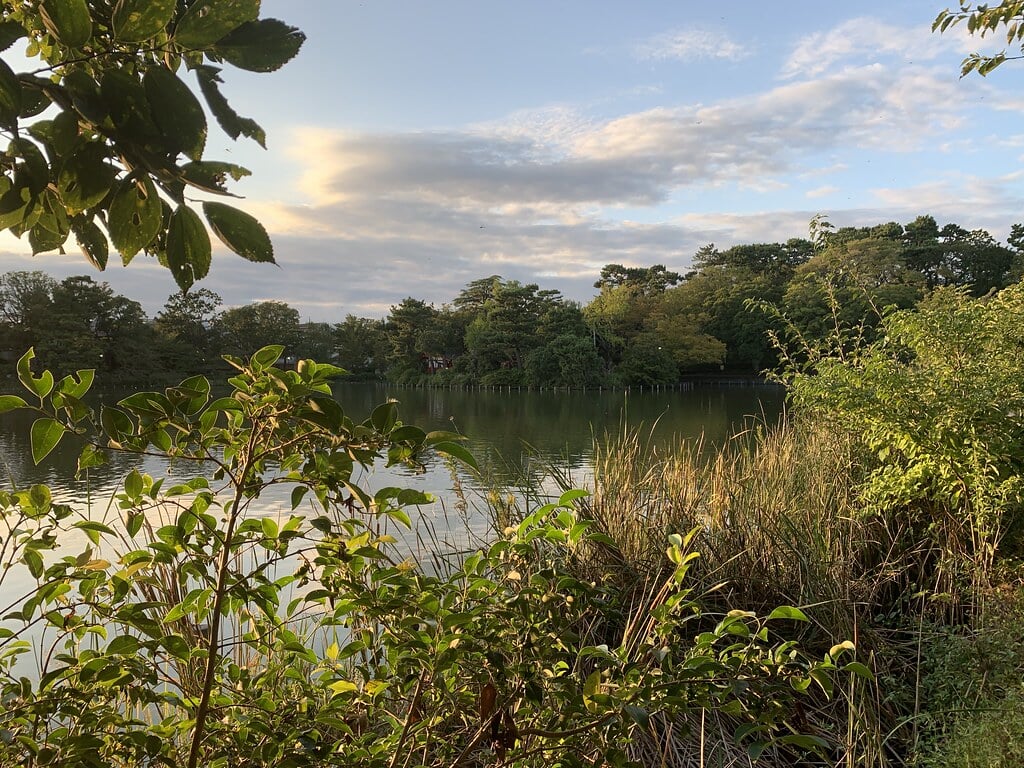 洗足池公園の写真 ©Mikhail+Kotykhov(CC BY 2.0)