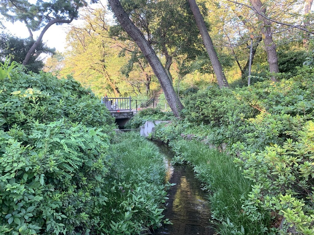 洗足池公園の写真 ©Mikhail+Kotykhov(CC BY 2.0)