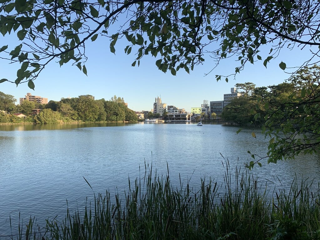 洗足池公園の写真 ©Mikhail+Kotykhov(CC BY 2.0)