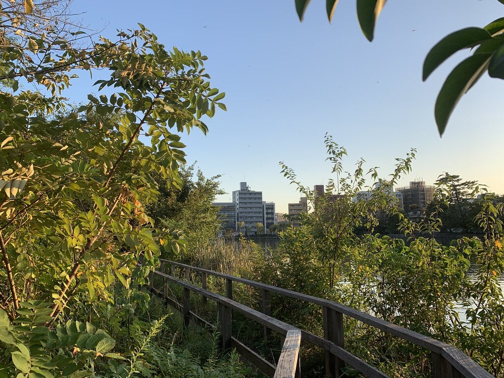 洗足池公園の写真 ©Mikhail+Kotykhov(CC BY 2.0)