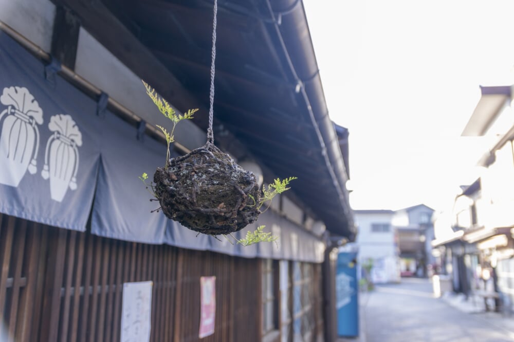 菓子屋横丁の写真 