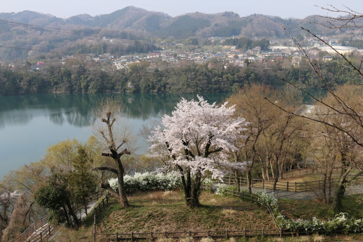 県立津久井湖城山公園の写真 