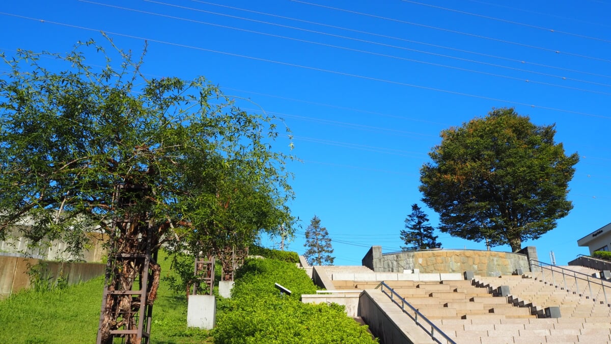 県立津久井湖城山公園の写真 