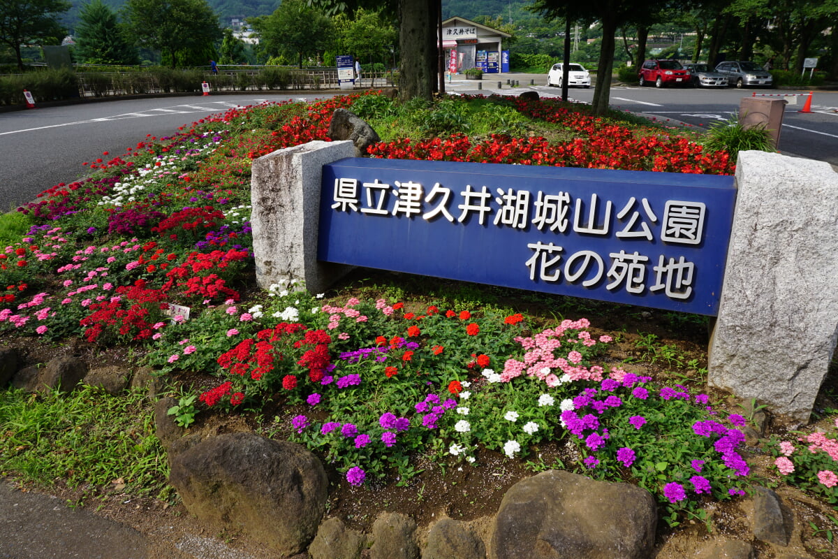 県立津久井湖城山公園の写真 ©vault006(CC BY 3.0)