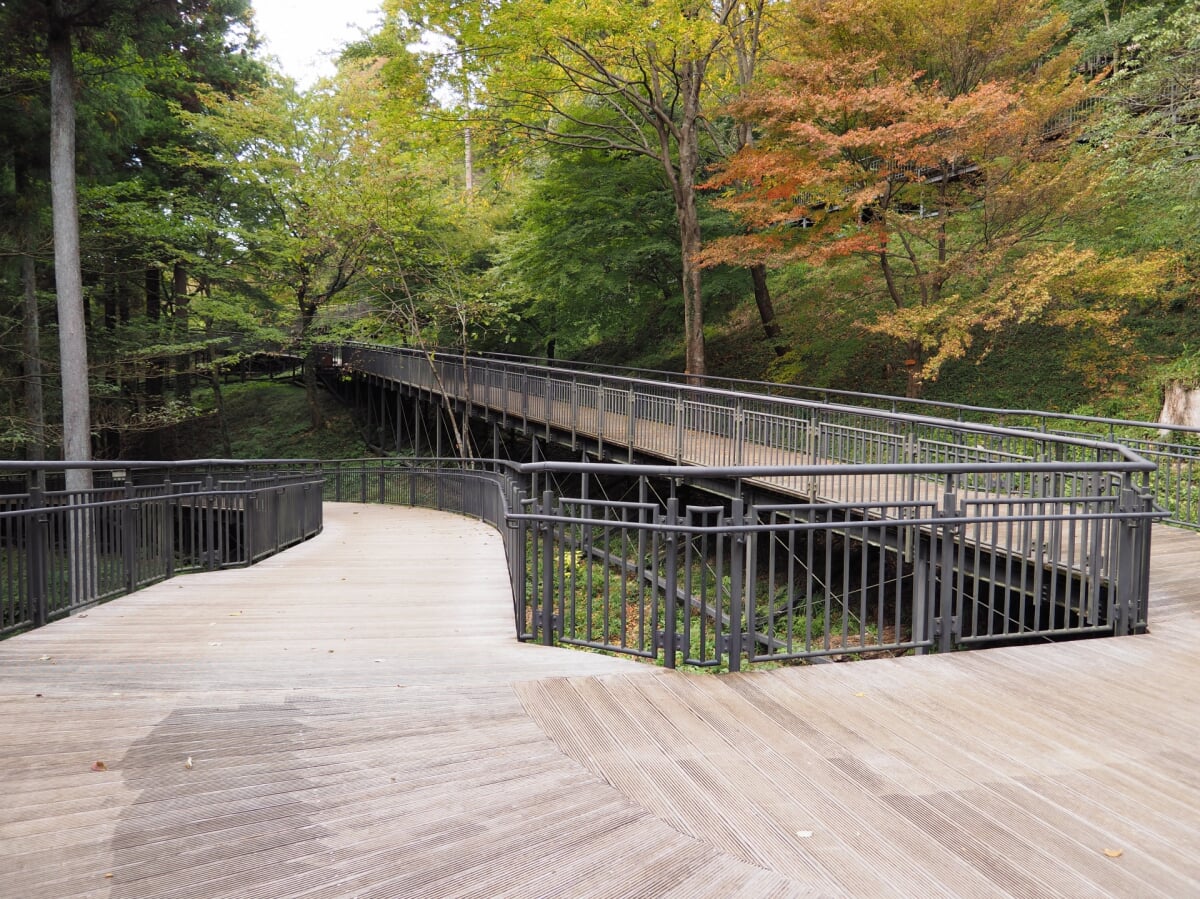 県立津久井湖城山公園の写真 
