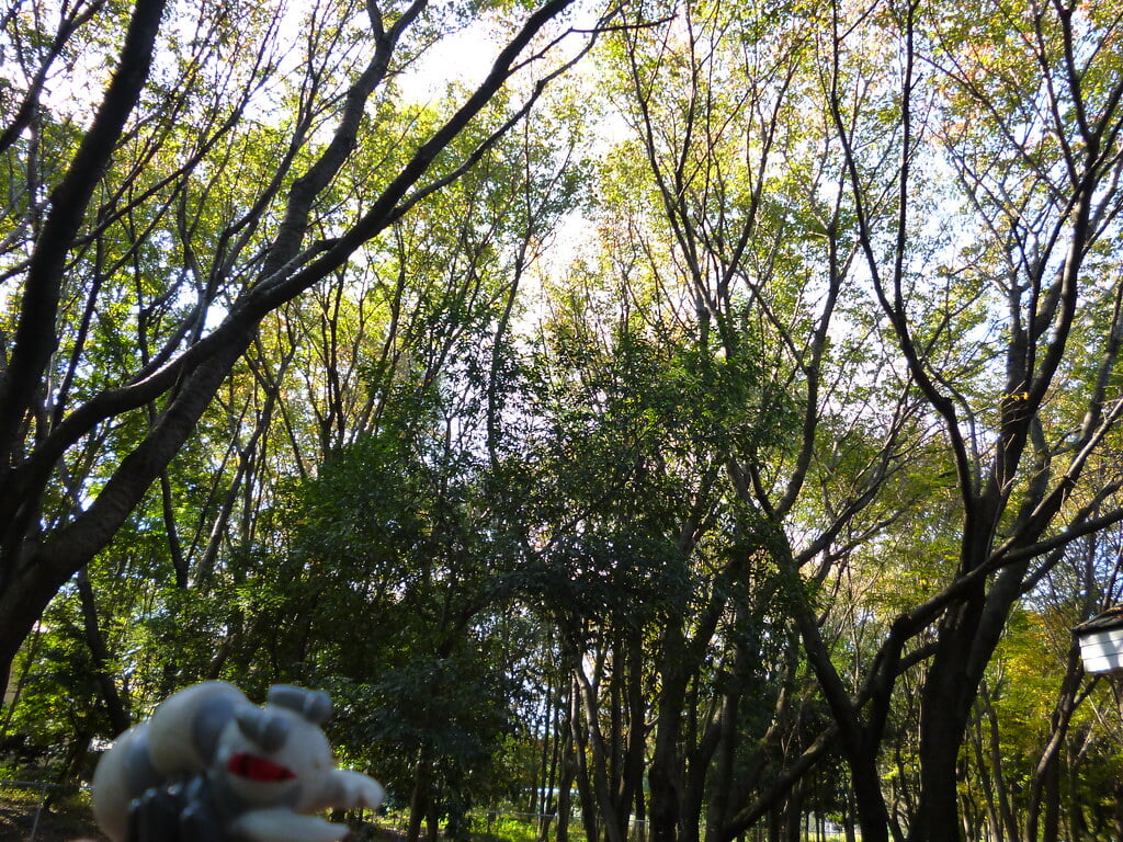 彩の森入間公園の写真 ©Kasadera(CC BY 2.0)