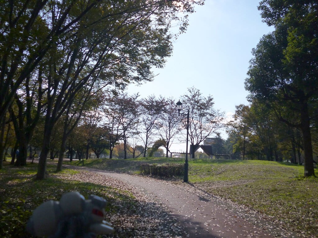 彩の森入間公園の写真 ©Kasadera(CC BY 2.0)