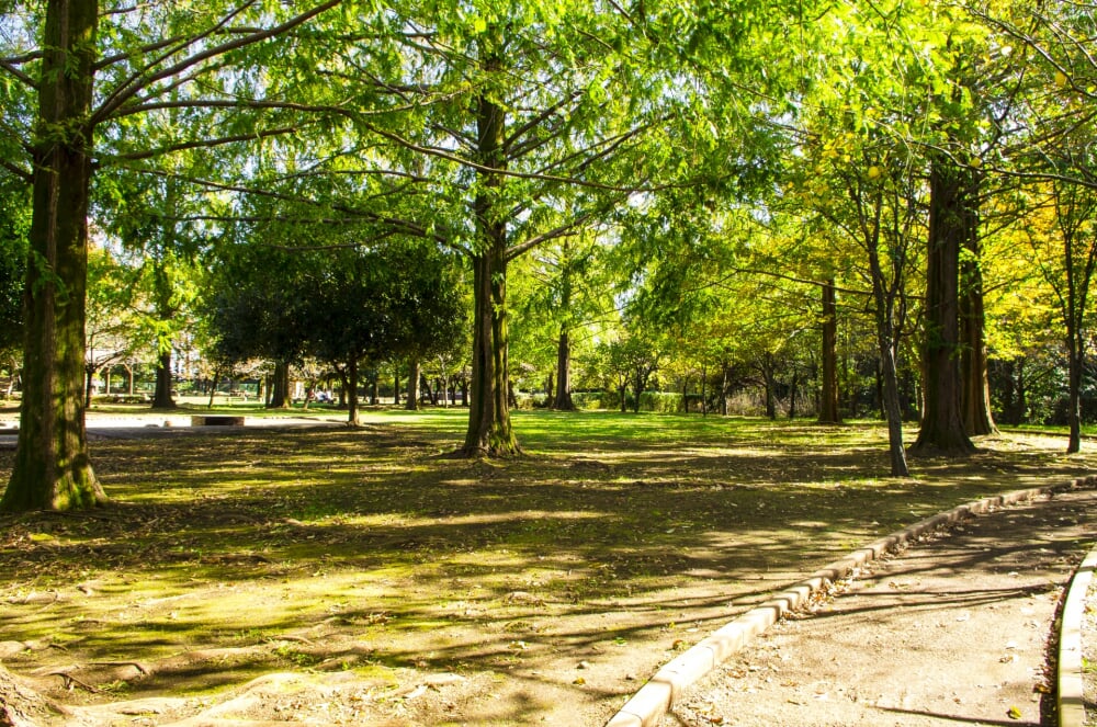 伊奈町町制施行記念公園の写真 