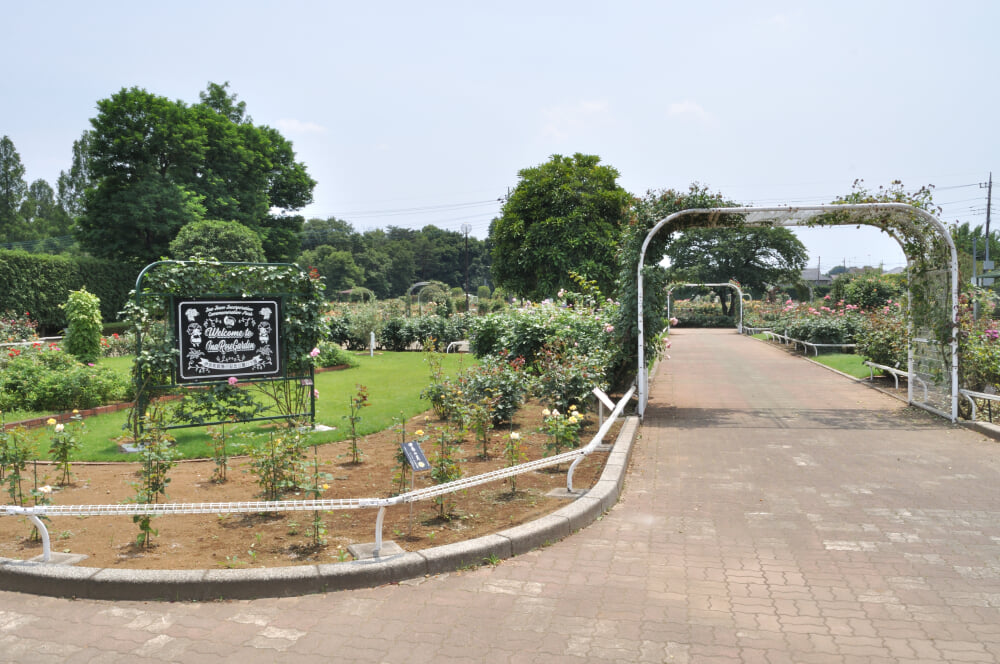 伊奈町町制施行記念公園の写真 ©Ocdp(CC0)