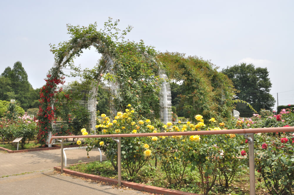 伊奈町町制施行記念公園の写真 ©Ocdp(CC0)