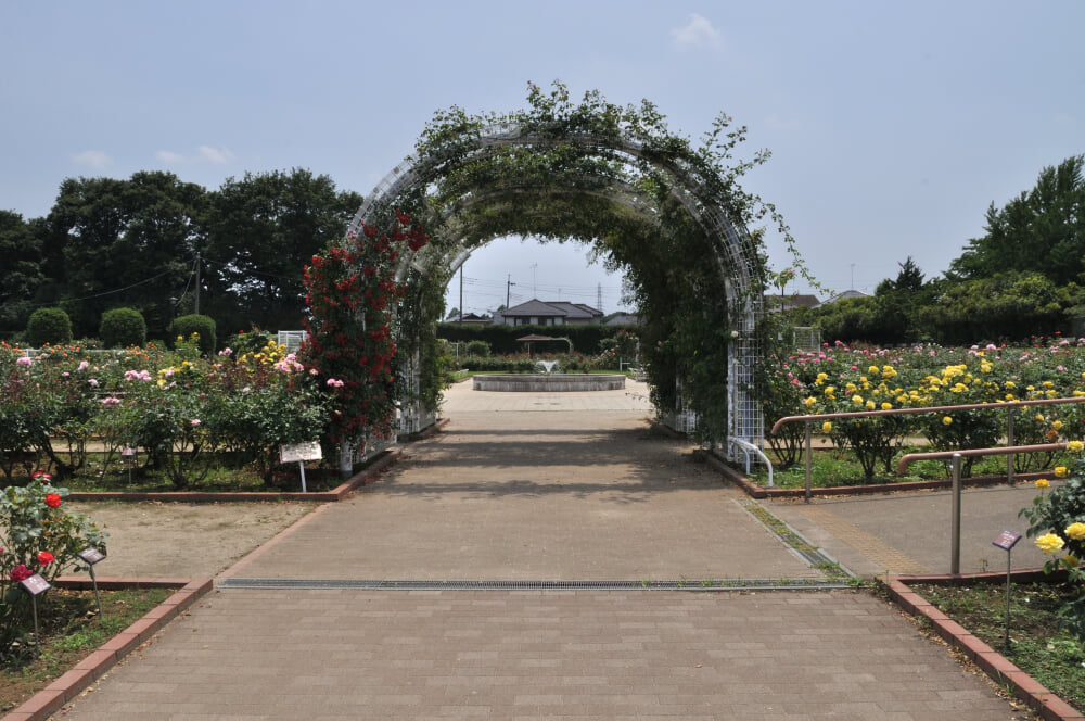 伊奈町町制施行記念公園の写真 ©Ocdp(CC0)