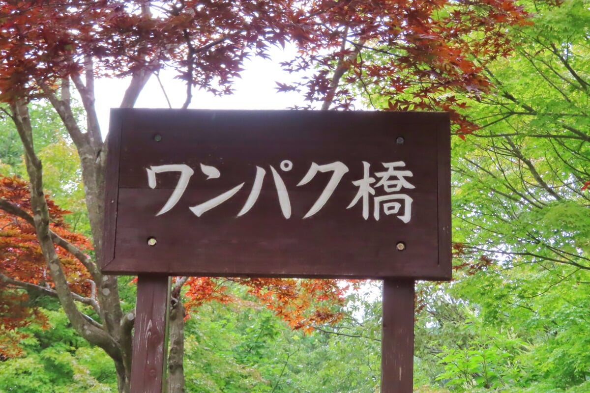 広島市森林公園の写真 