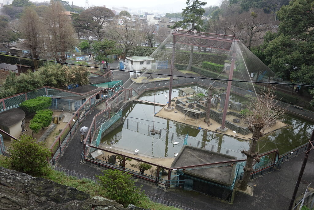 和歌山公園動物園の写真 ©Richard, enjoy my life!(CC BY-SA 2.0)