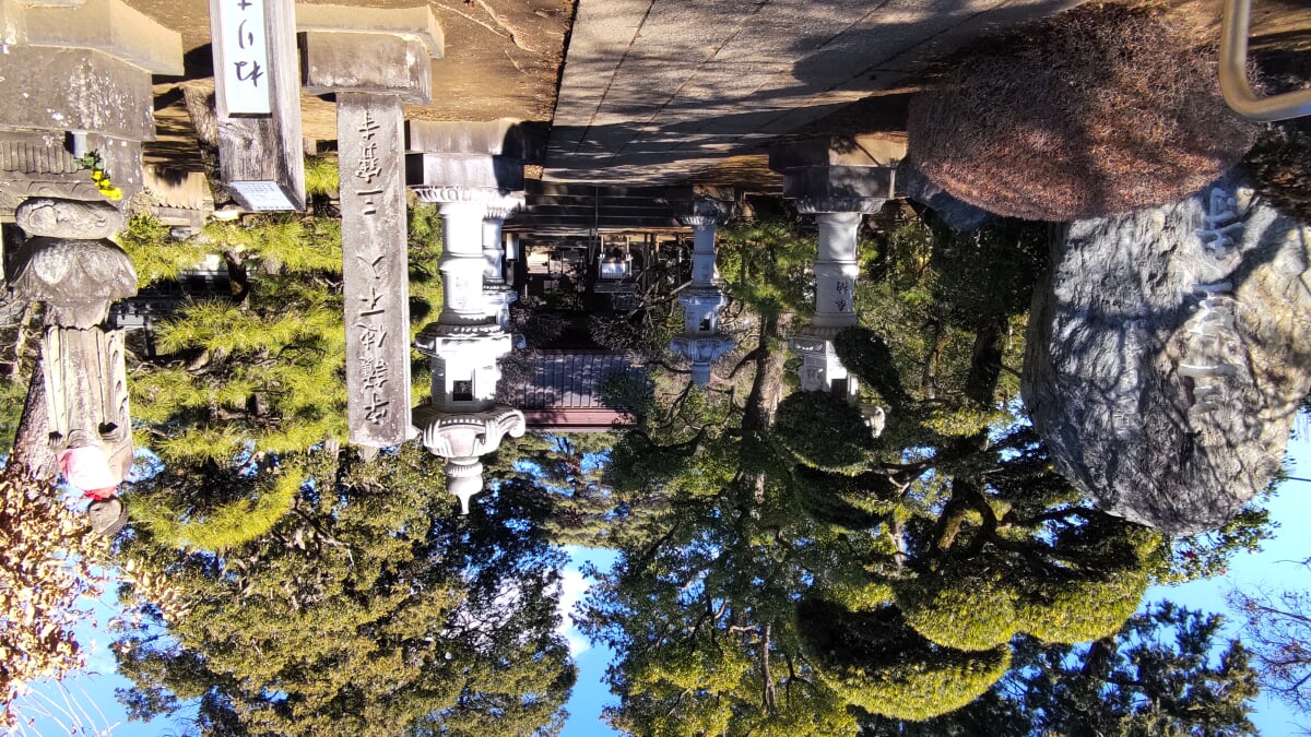 石神井公園の写真 ©Guy-aan(CC BY-SA 4.0)