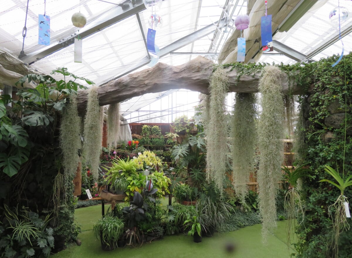 ハーブ庭園旅日記 勝沼庭園の写真 