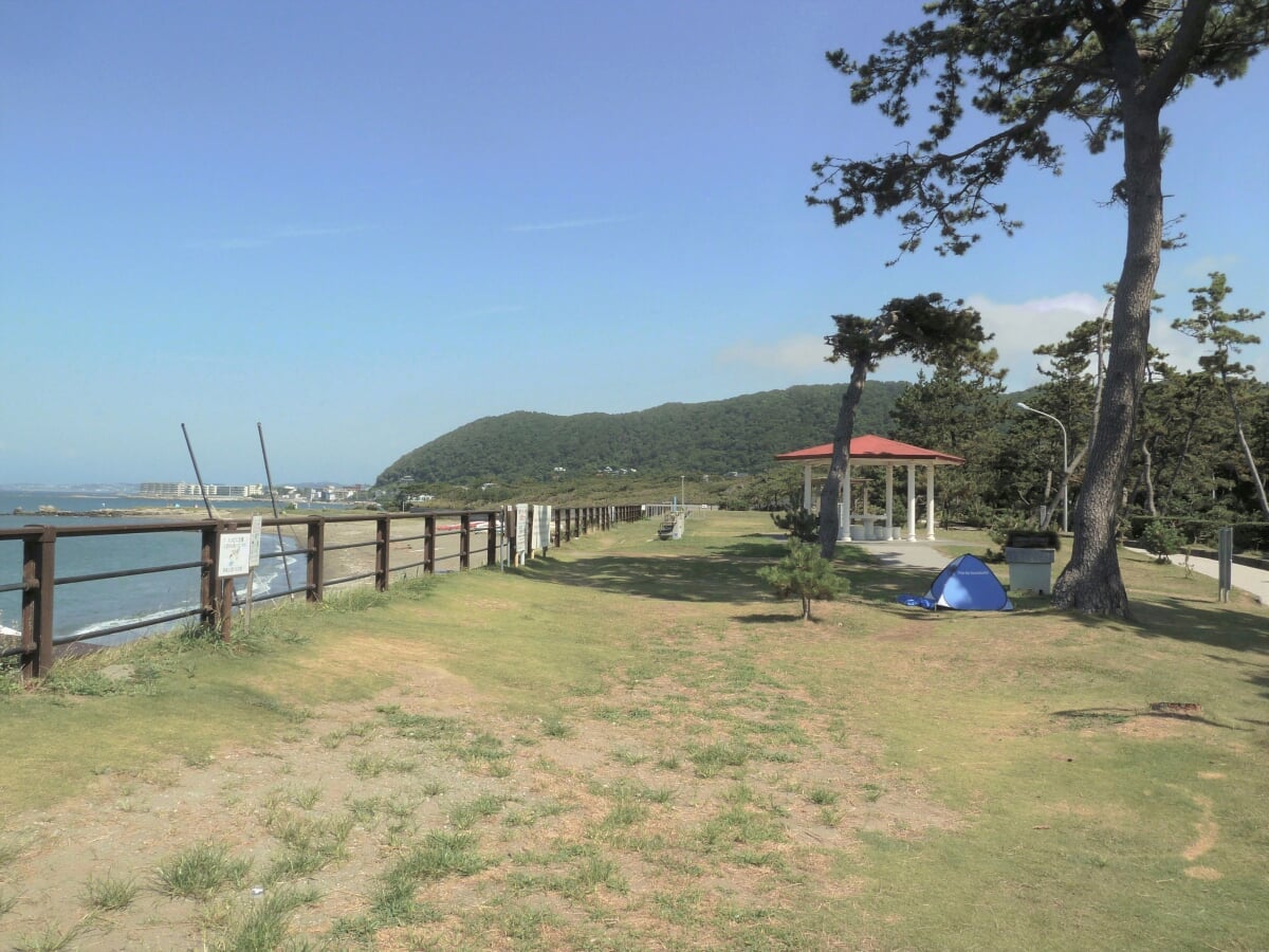 神奈川県立葉山公園の写真 ©Quercus(CC0)