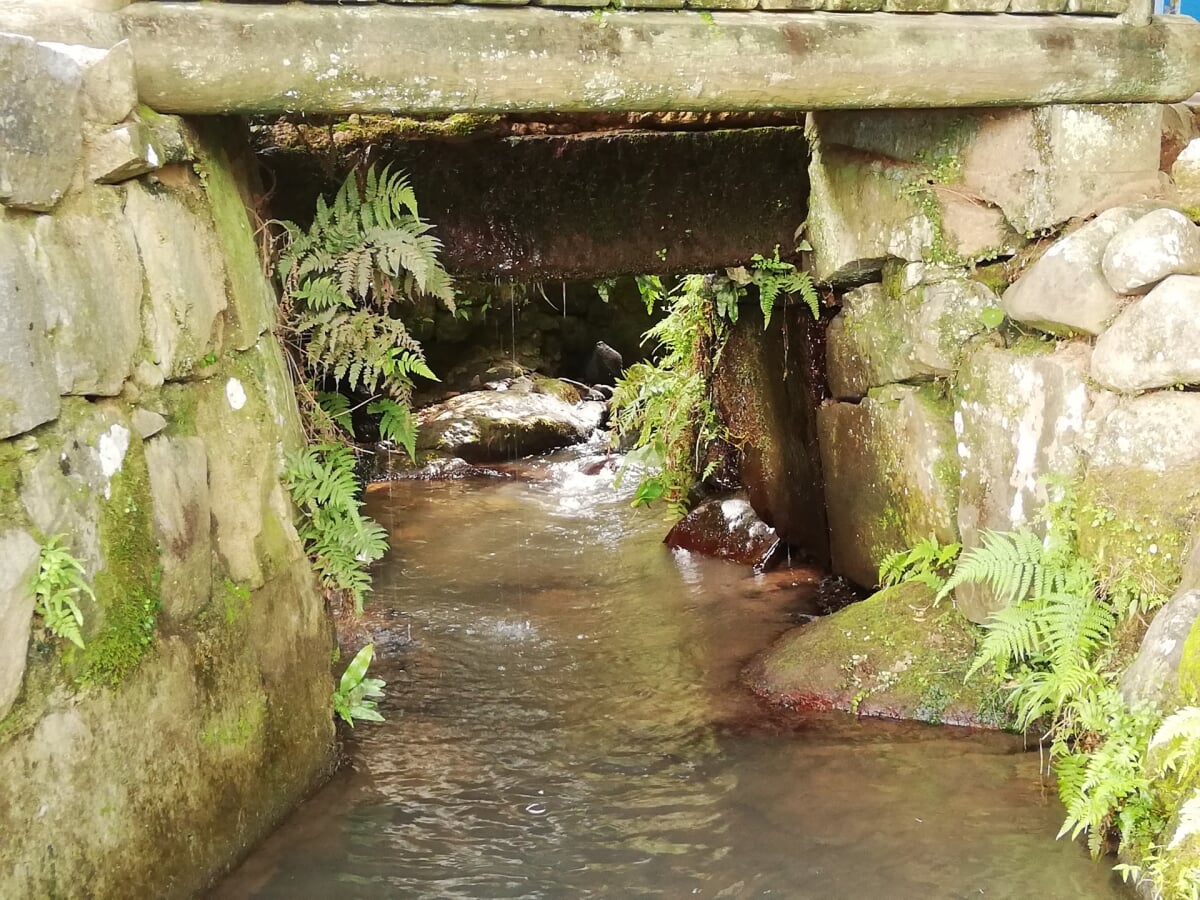 轟水源の写真 