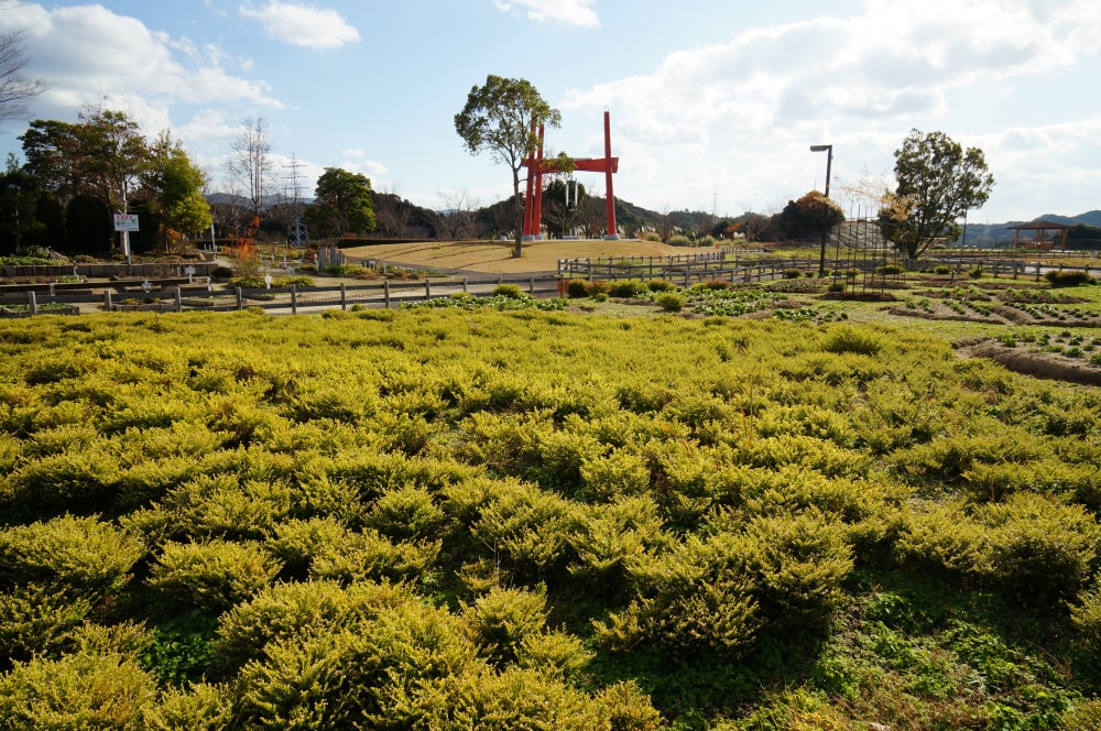新庄総合公園の写真 ©663highland(CC-BY-SA-3.0)