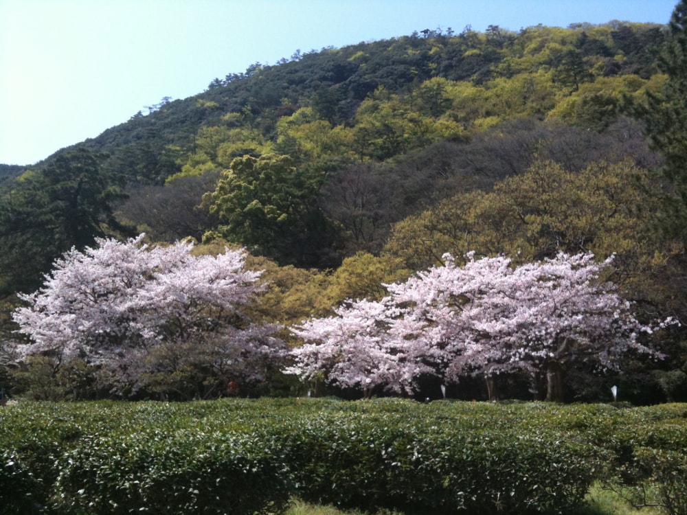 栗林公園の写真 ©iPhone修理/カスタマイズパーツ販売…(CC BY 3.0)