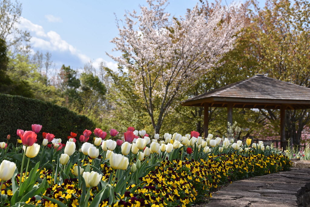 グリーンヒルズ津山の写真 ©津山市立図書館 Public Library of Tsuyama(CC BY 2.0)